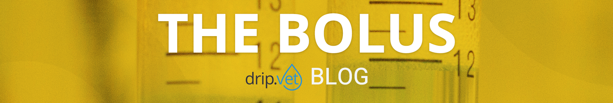 drip.vet blog header image